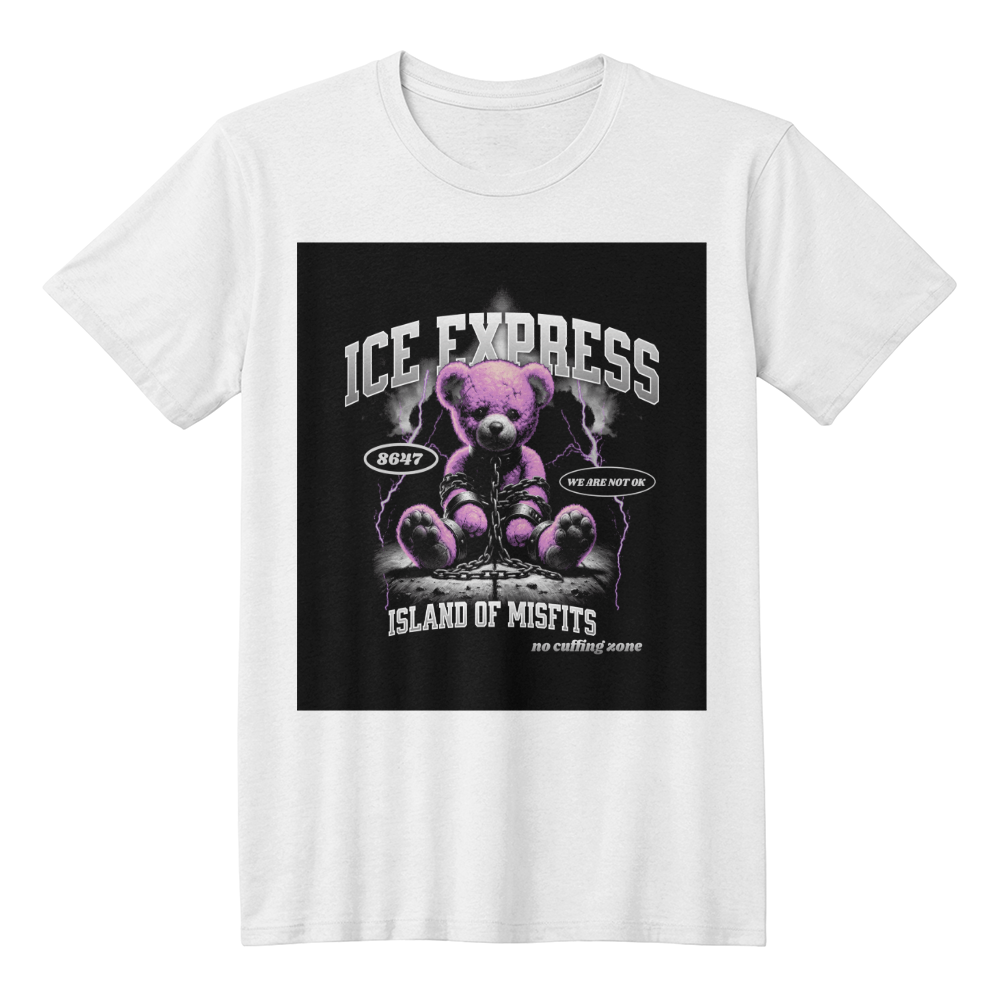 ICE Express