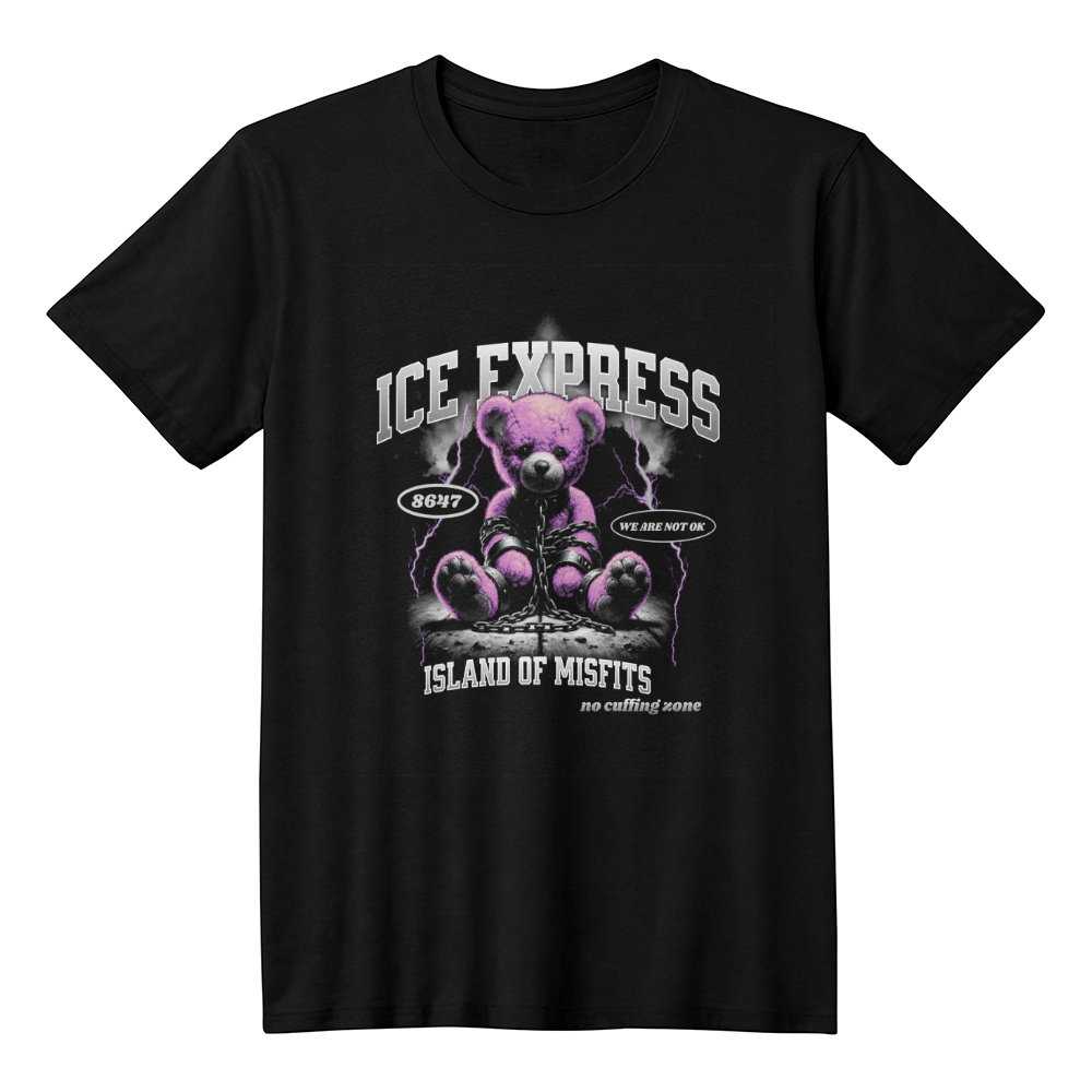 ICE Express